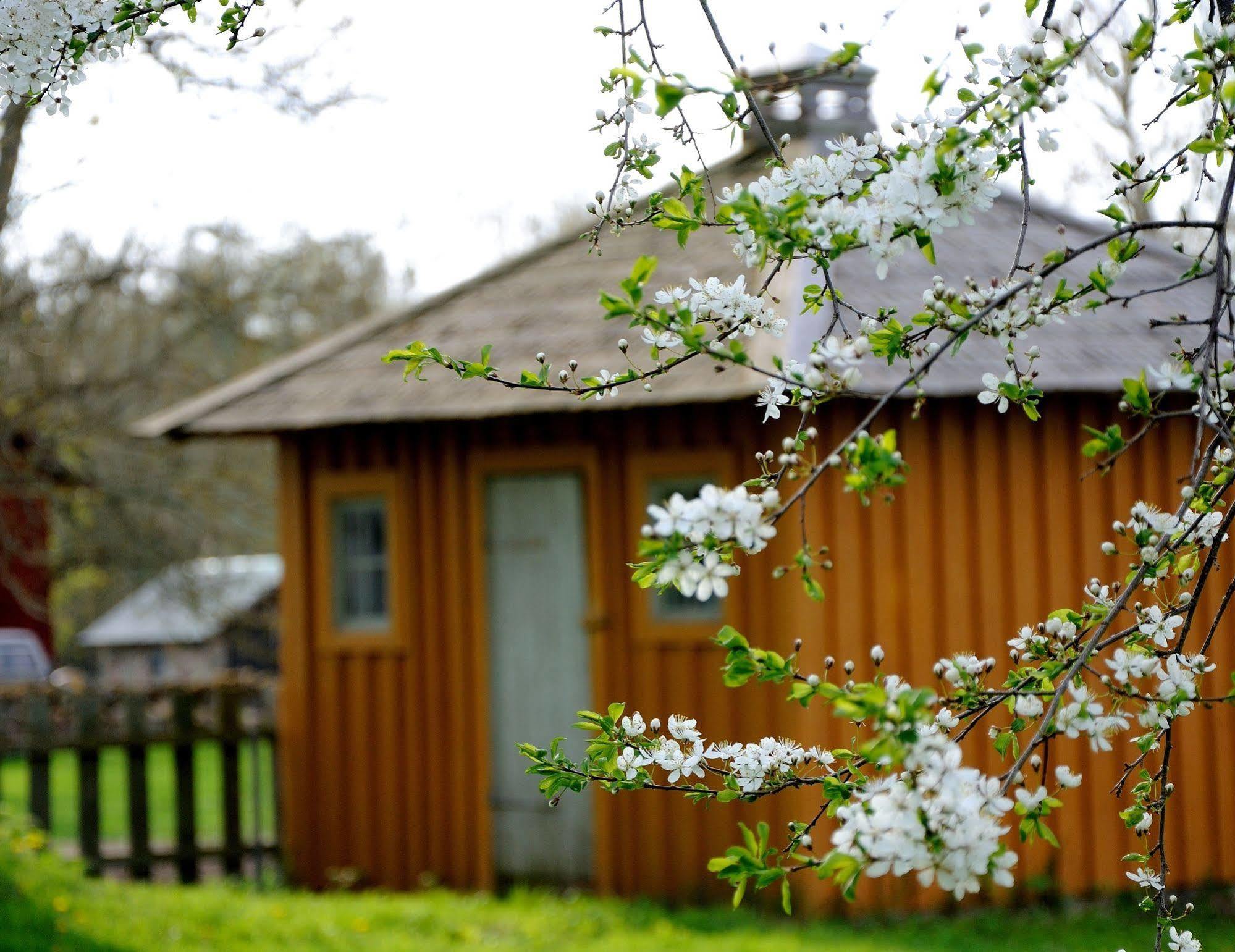 Naestegarden Bed & Breakfast Satuna Bagian luar foto