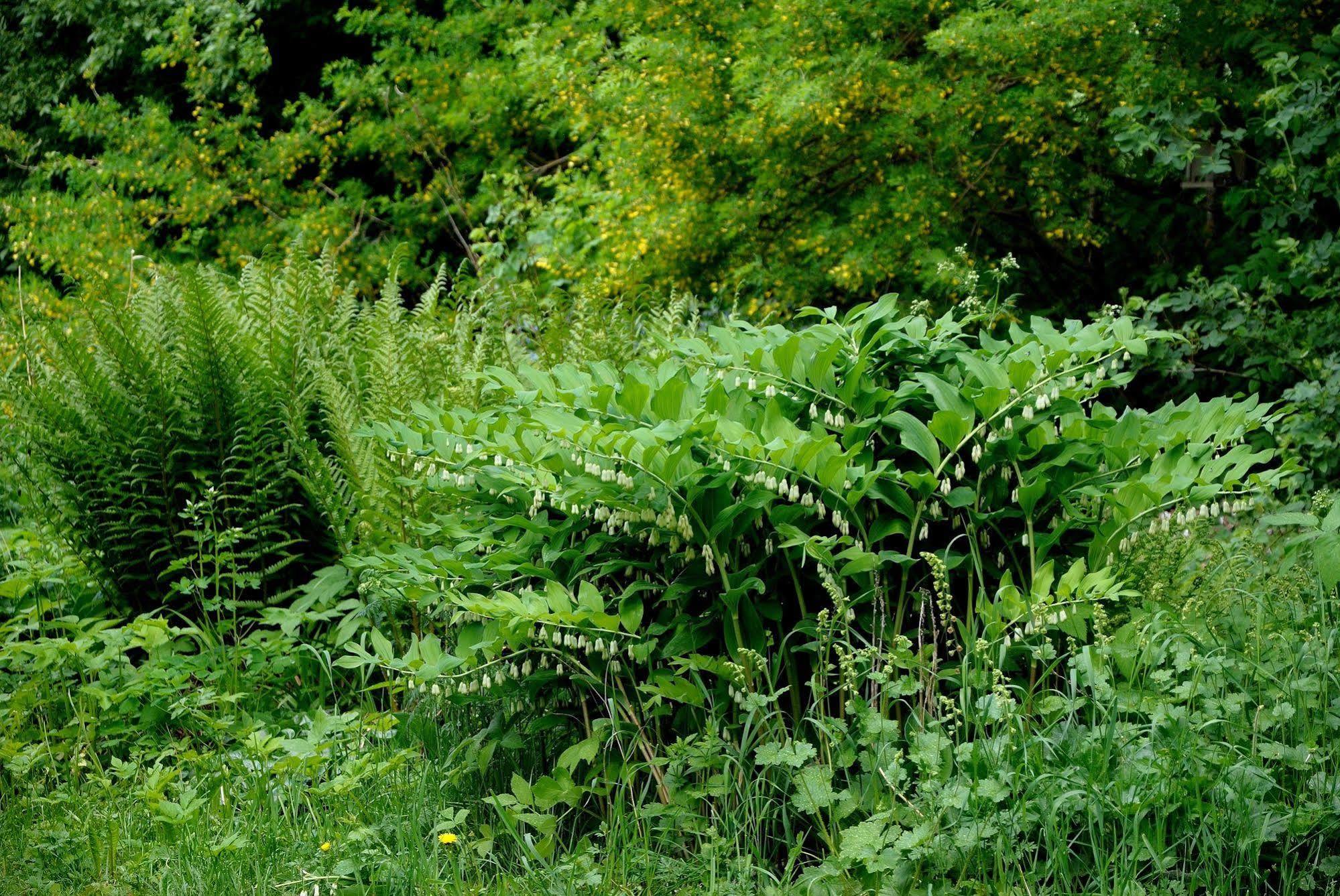 Naestegarden Bed & Breakfast Satuna Bagian luar foto