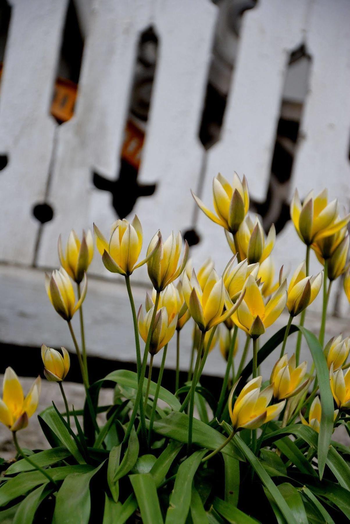 Naestegarden Bed & Breakfast Satuna Bagian luar foto
